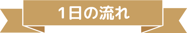 1日の流れ